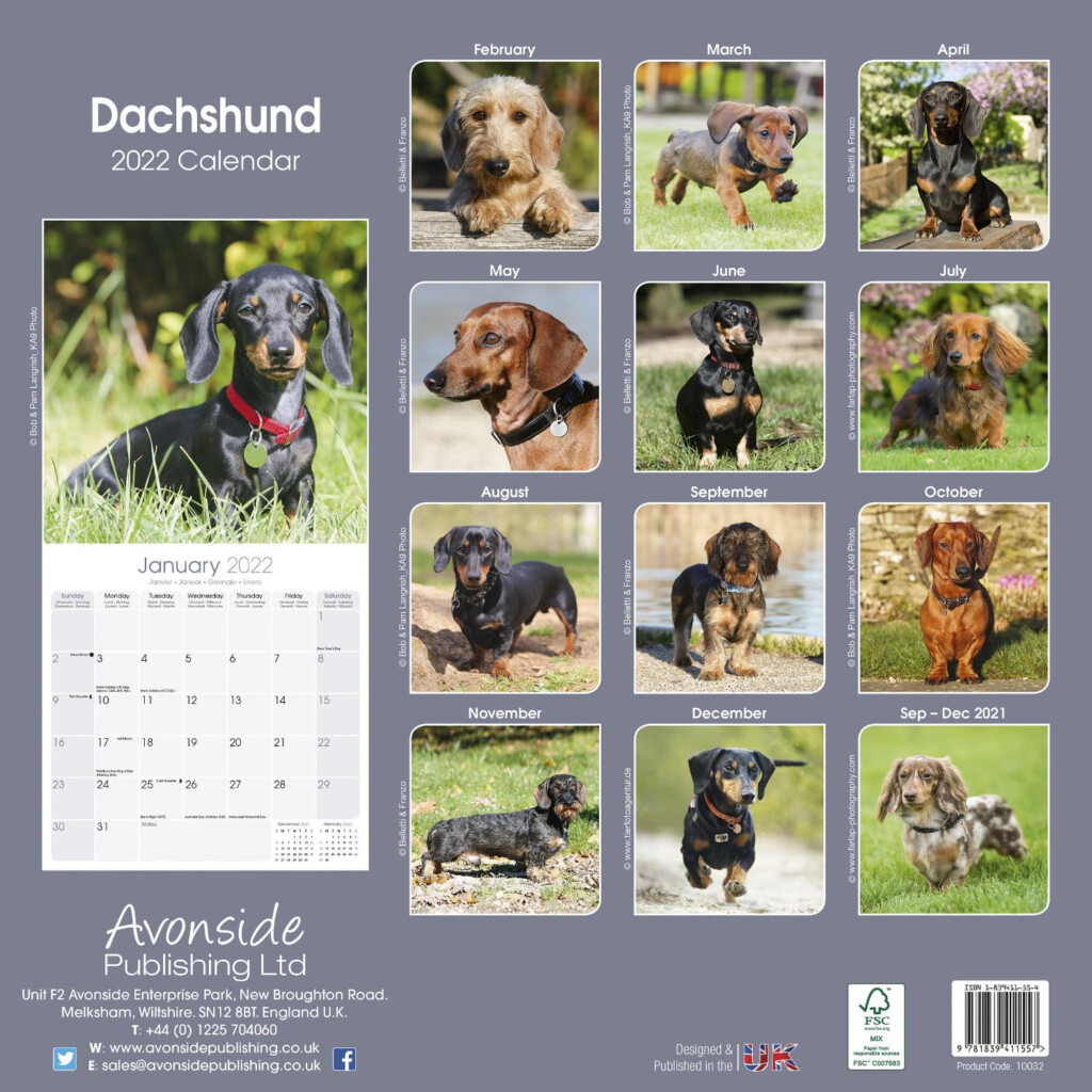Dachshund Calendar Dog Breed Calendars Pet Prints Inc