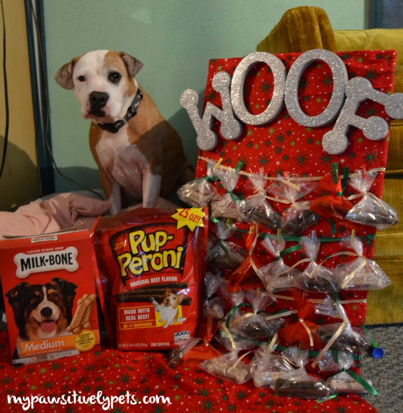 DIY Dog Treat Advent Calendar TreatThePups Pawsitively Pets