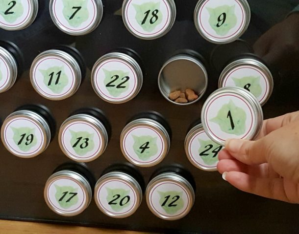 DIY Pet Advent Calendar Free Printable And Tutorial To Create Your Own
