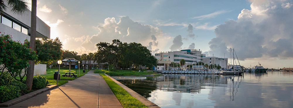 Facilities Resources USF St Petersburg Campus