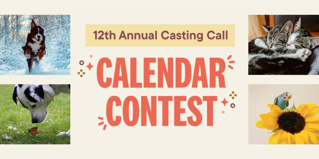 FINAL DAYS Let s See Those Pet Pics In Our 2024 Calendar Casting Call 