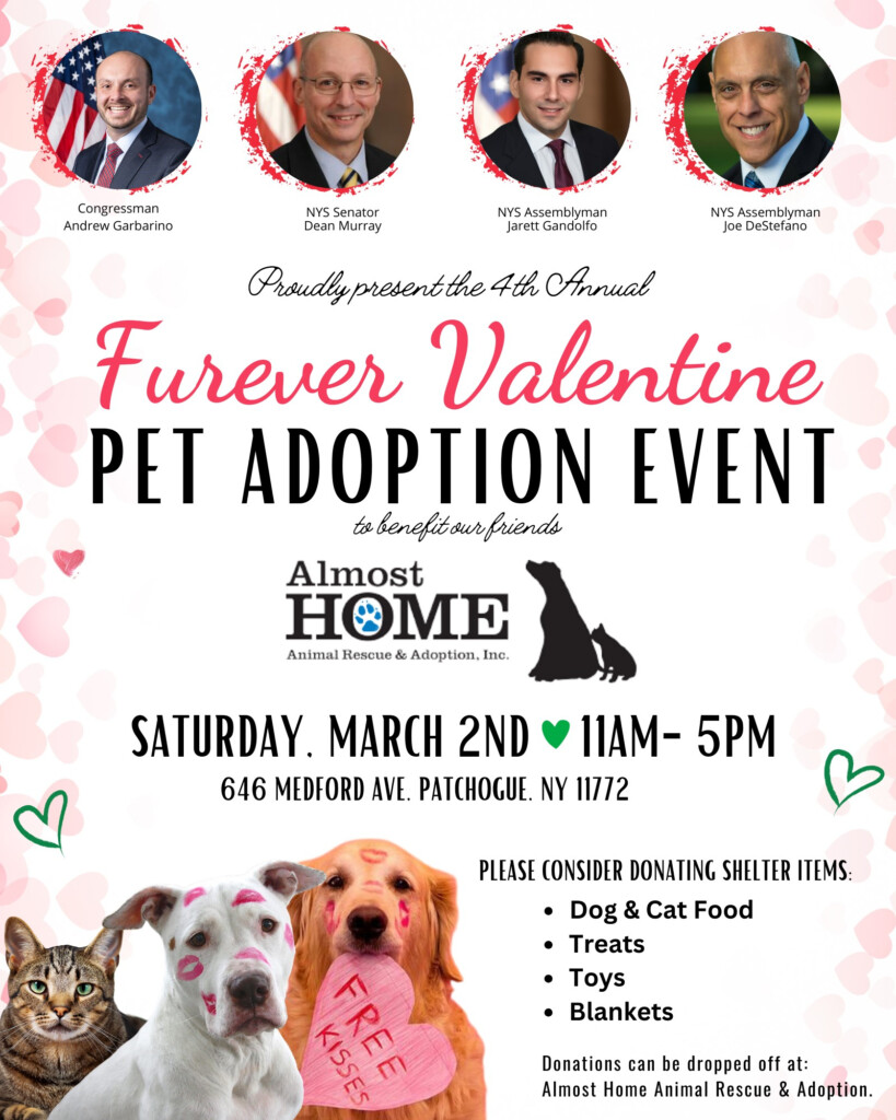 Furever Valentine Pet Adoption Event NYSenate gov
