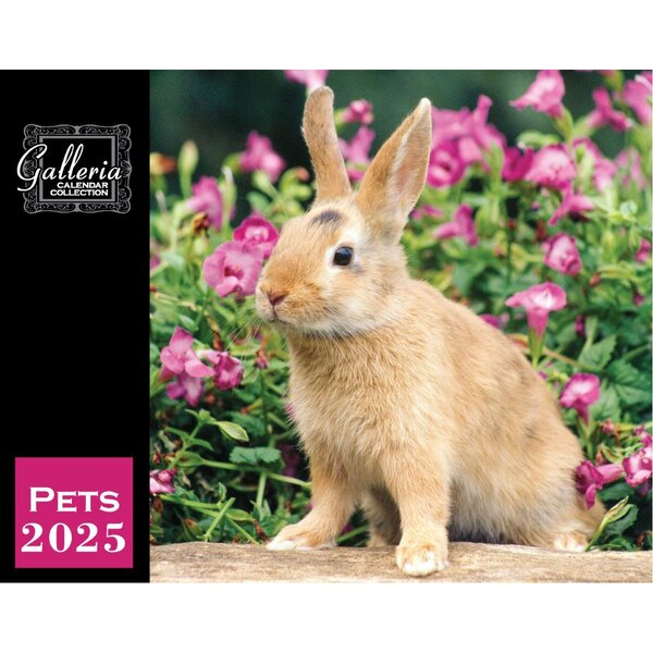  Galleria Wall Calendar 2025 Pets