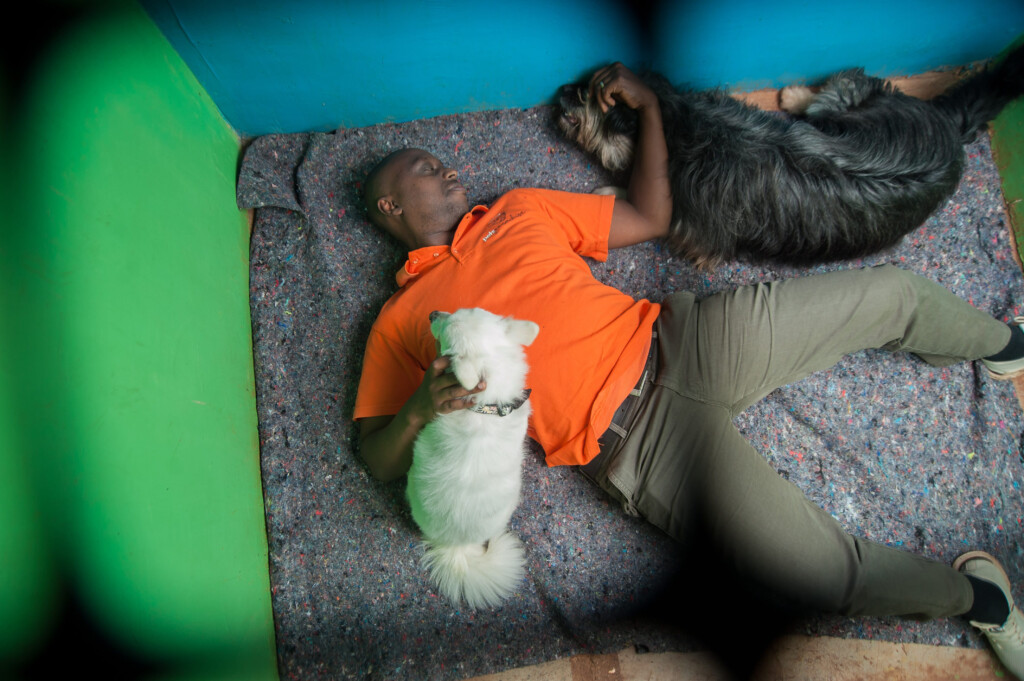 Gallery Pets Paradise Kenya