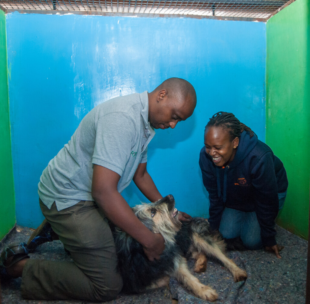 Gallery Pets Paradise Kenya