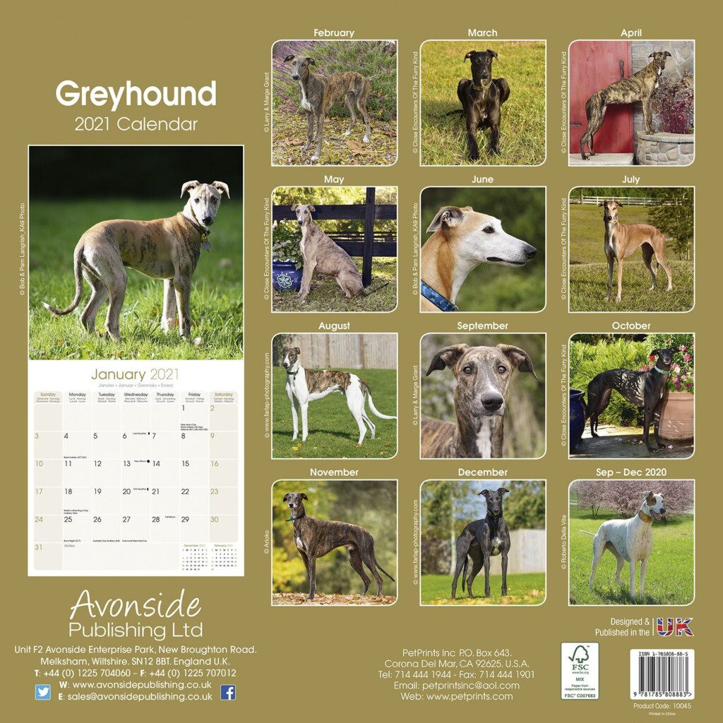 Greyhound Calendar Dog Breed Calendars Pet Prints Inc