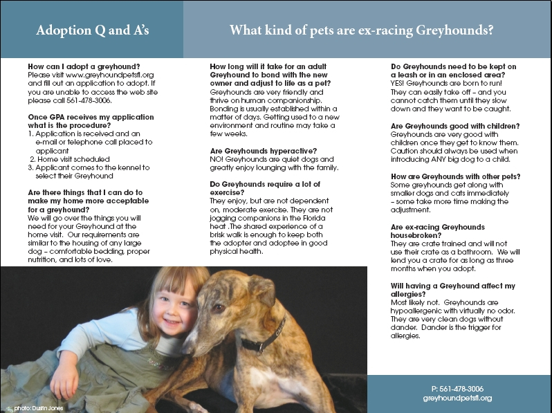 Greyhound Pets Of America Caren Hackman