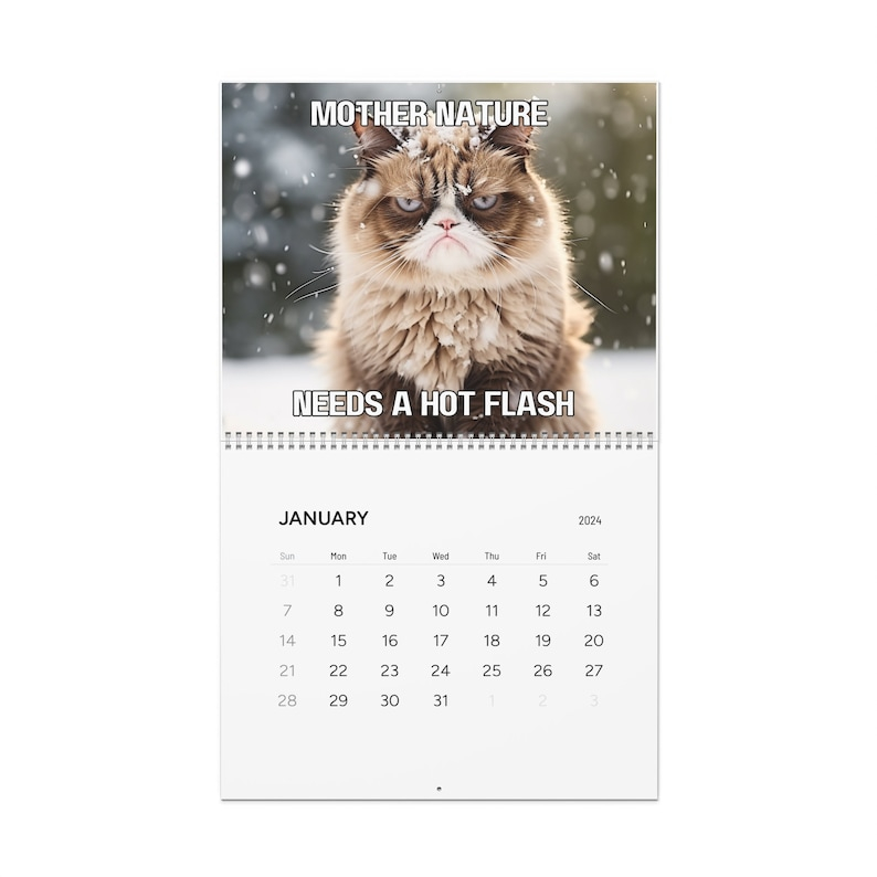 Grumpy Cat Meme Calendar 2024 Pissed Off Cats Funny Calendar 2024 Cat 
