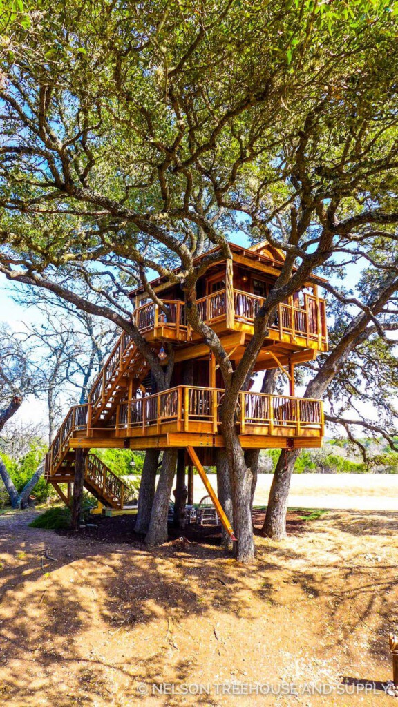 Hill Country Hideout Pete Nelson Treehouse Masters Season 9 