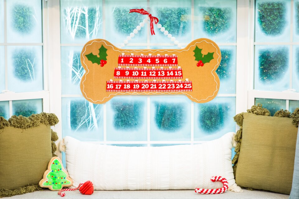 How to DIY Pet Advent Calendar
