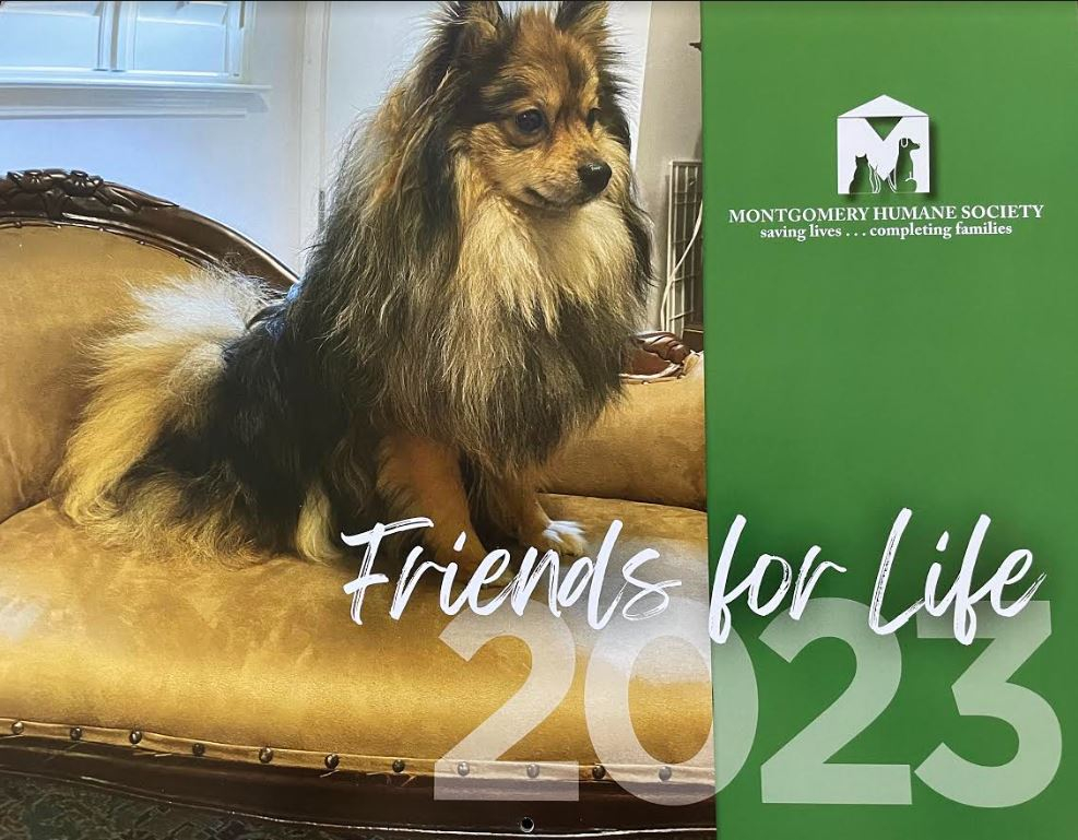 Humane Society Calendar 2025 Joshua Lai