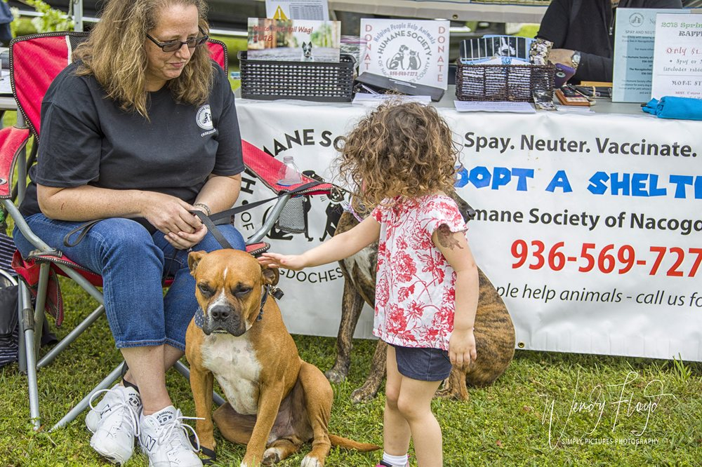 HUMANE SOCIETY OF NACOGDOCHES COUNTY Request Information 3211 SW 
