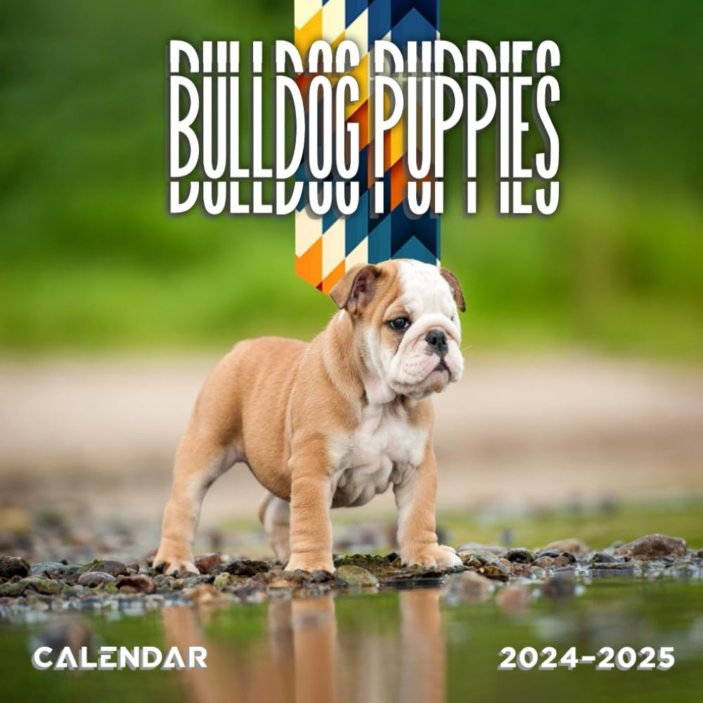 Hunting Dog Calendar 2025 Ivy Jane