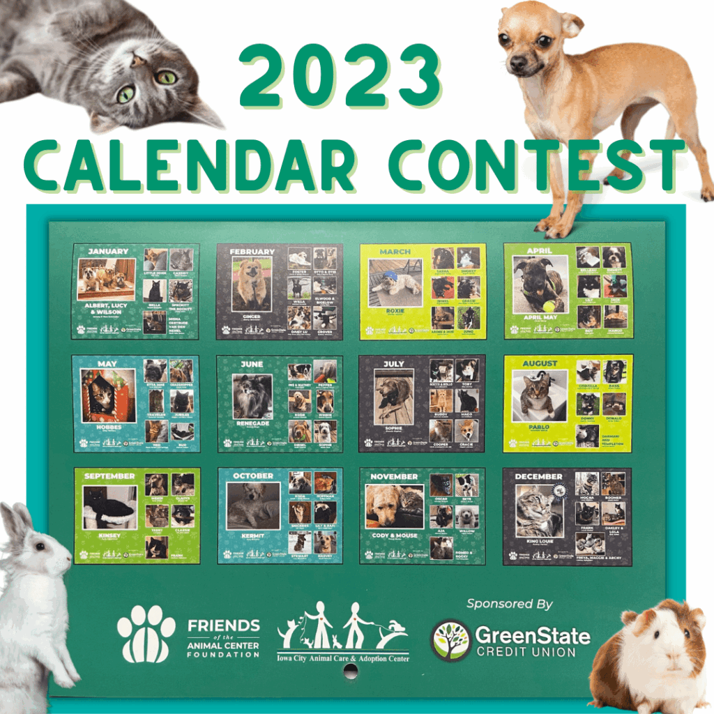 Is Praise My Pet Calendar Legitimate 