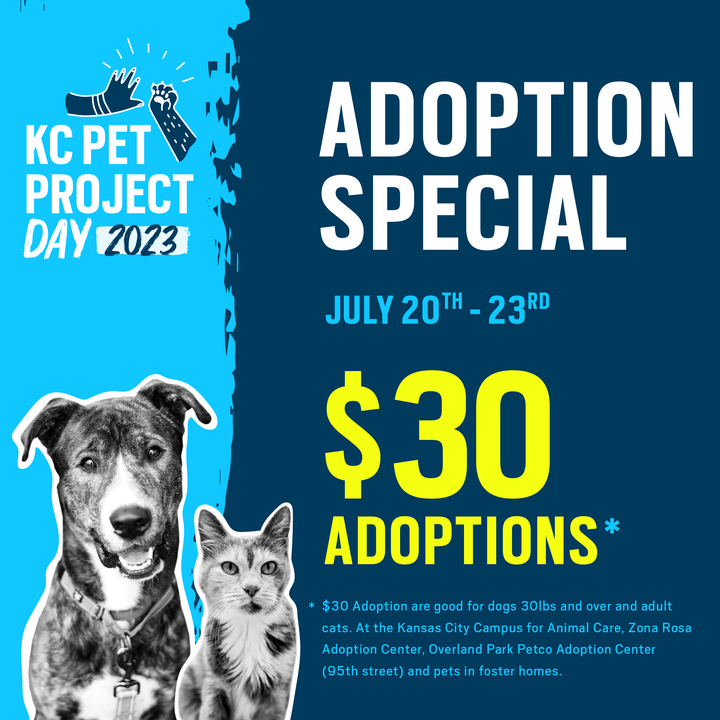 KC Pet Project Day Adoption Special KC Pet Project