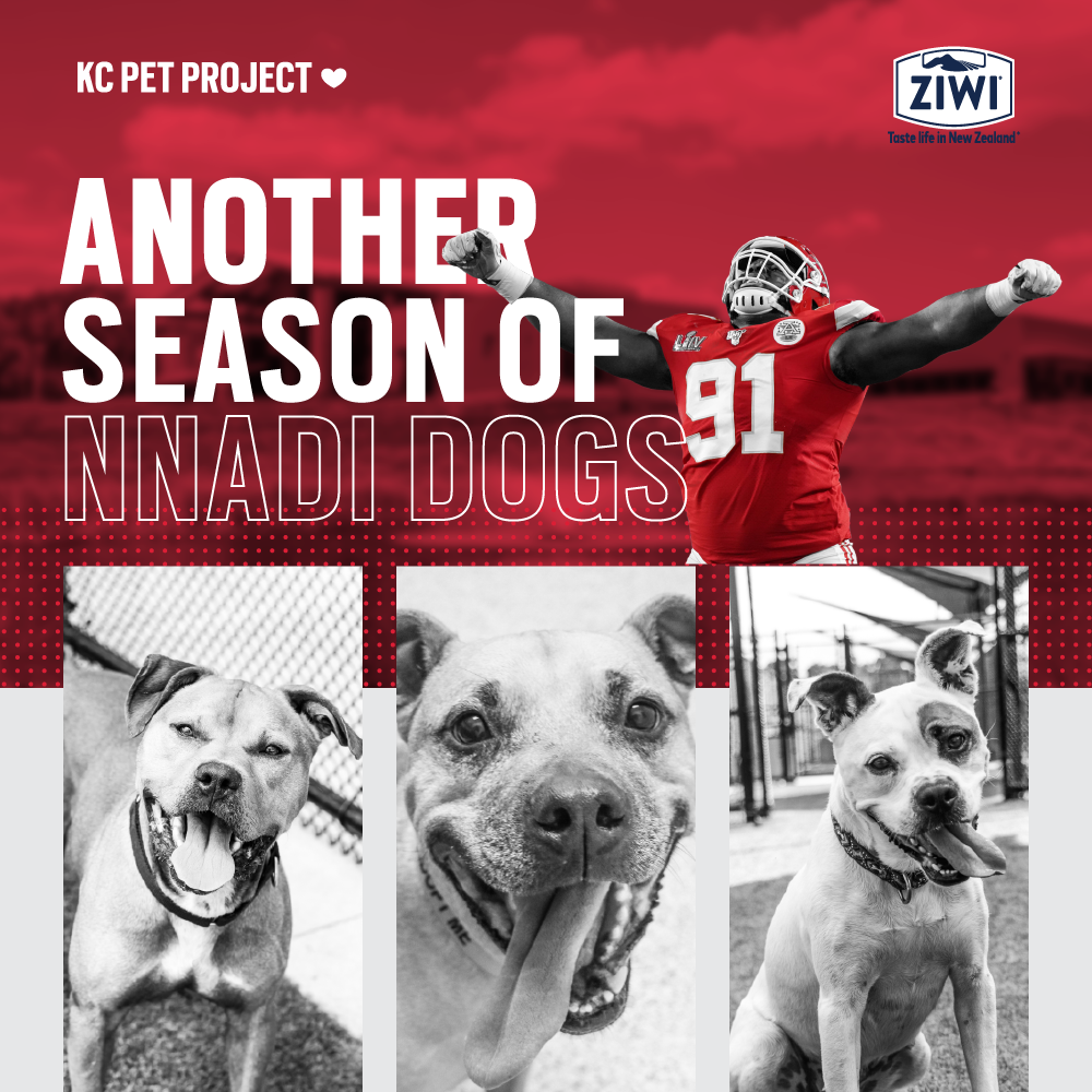 KC Pet Project Partnering With Chiefs DT Derrick Nnadi For Another 