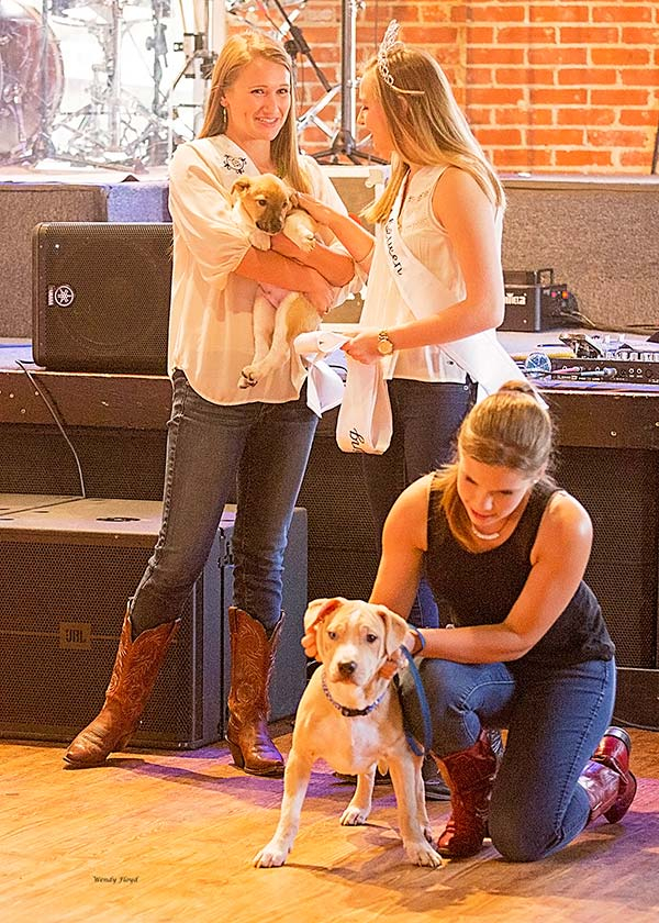 Make That Tail Wag Calendar Kickoff Humane Society Of Nacogdoches County