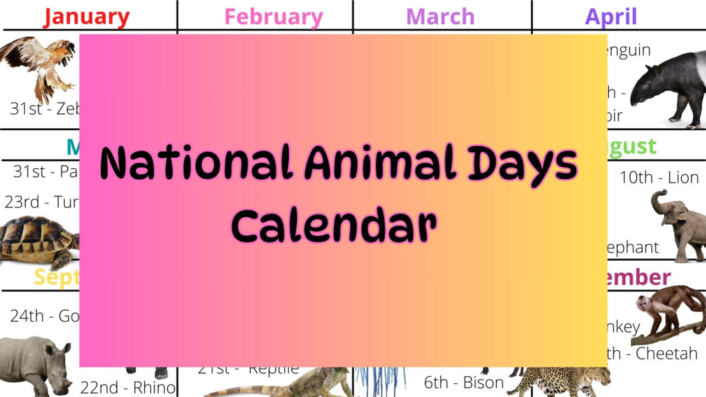 Mash gt Animals gt National Animal Days Calendar