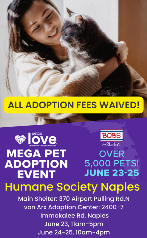 Mega Pet Adoption Event Humane Society Naples
