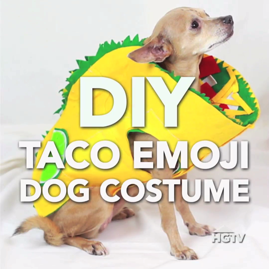 Mobile Pet Vet Calendar El Paso Tx