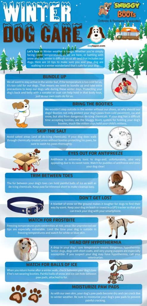 Mobile Pet Vet Calendar El Paso Tx