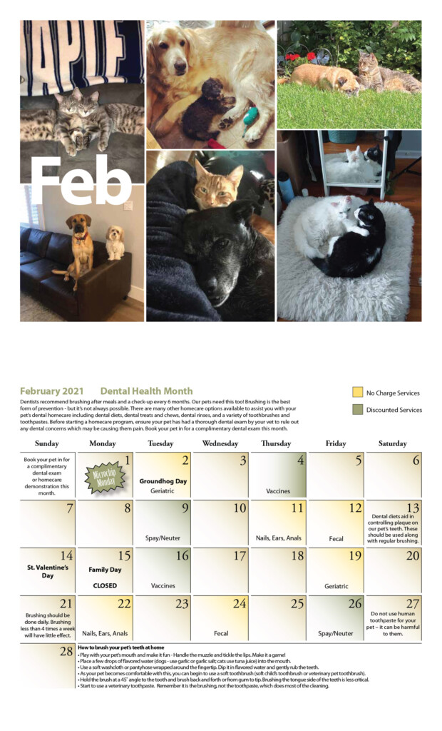Mobile Pet Vet Calendar Rea Leland