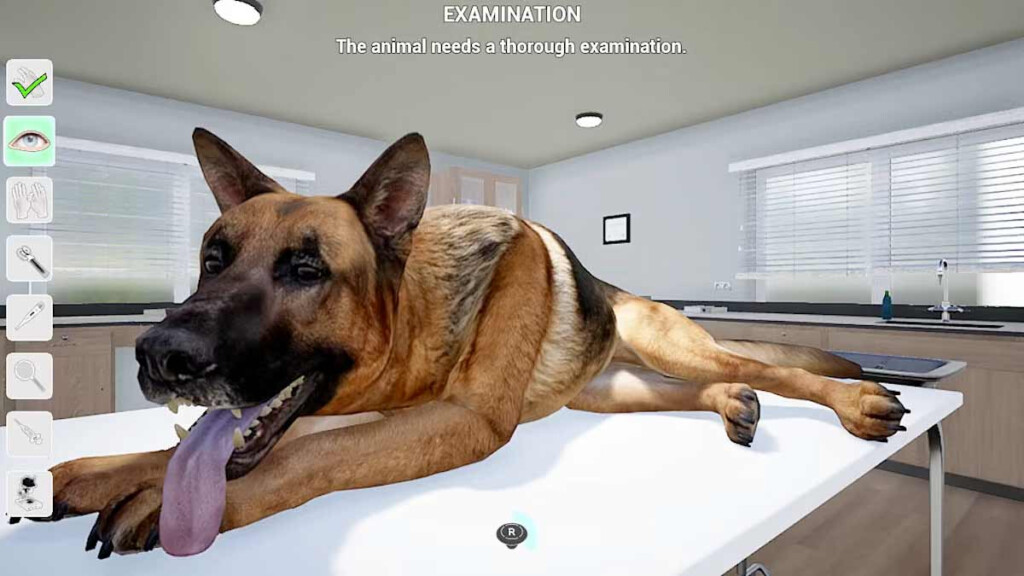 My Life Pet Vet For PS5