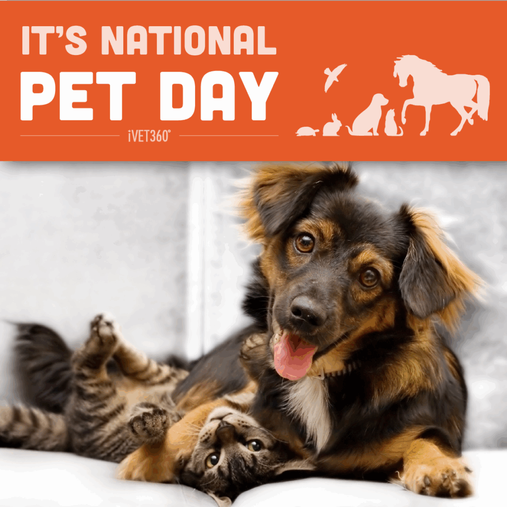 National Pet Day April 2025 Calendar Addison Carter