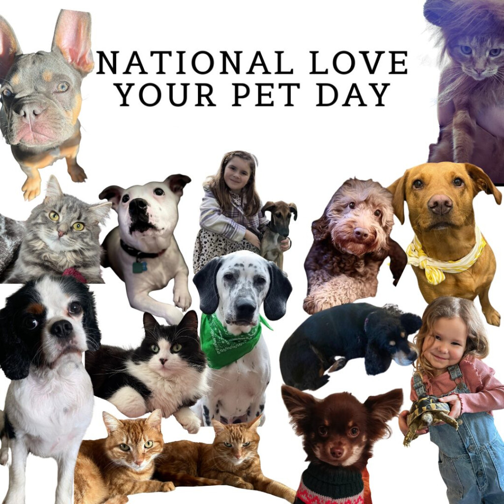 National Pet Day Calendar 2024 Debra Eugenie