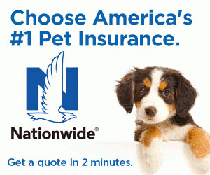 Nationwide Pet Insurance Group Discounts And Savings For Dog And Cat 