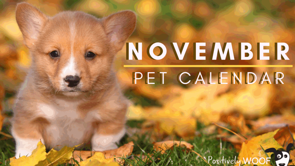 November Pet Calendar Positively Woof