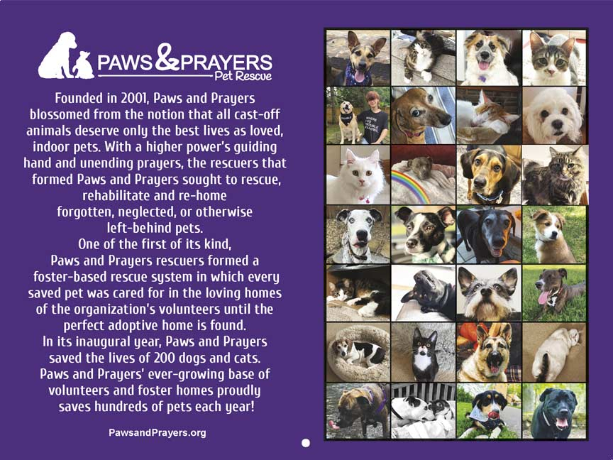 Paws And Prayers Pet Rescue 2025 Calendar Yearbox Calendars