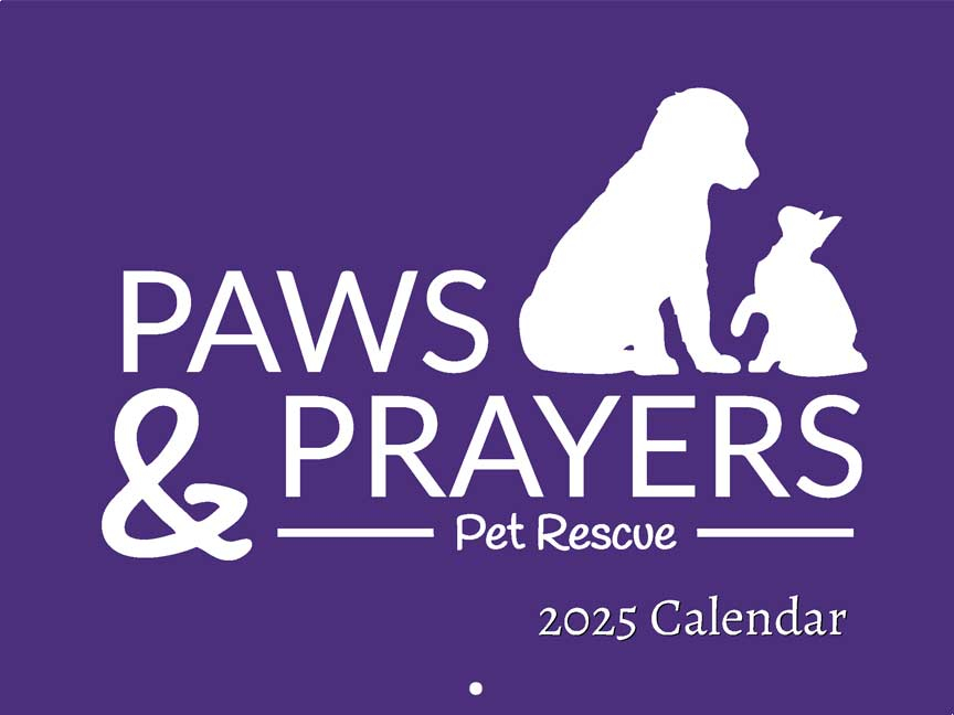Paws And Prayers Pet Rescue 2025 Calendar Yearbox Calendars