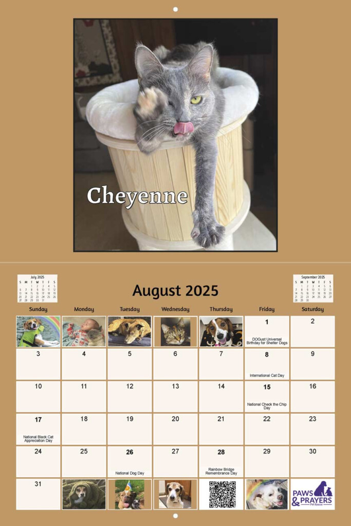 Paws And Prayers Pet Rescue 2025 Calendar Yearbox Calendars