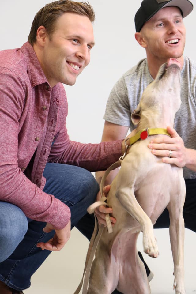 Penguins Paws Charity Pet Calendar Pittsburgh Penguins Foundation