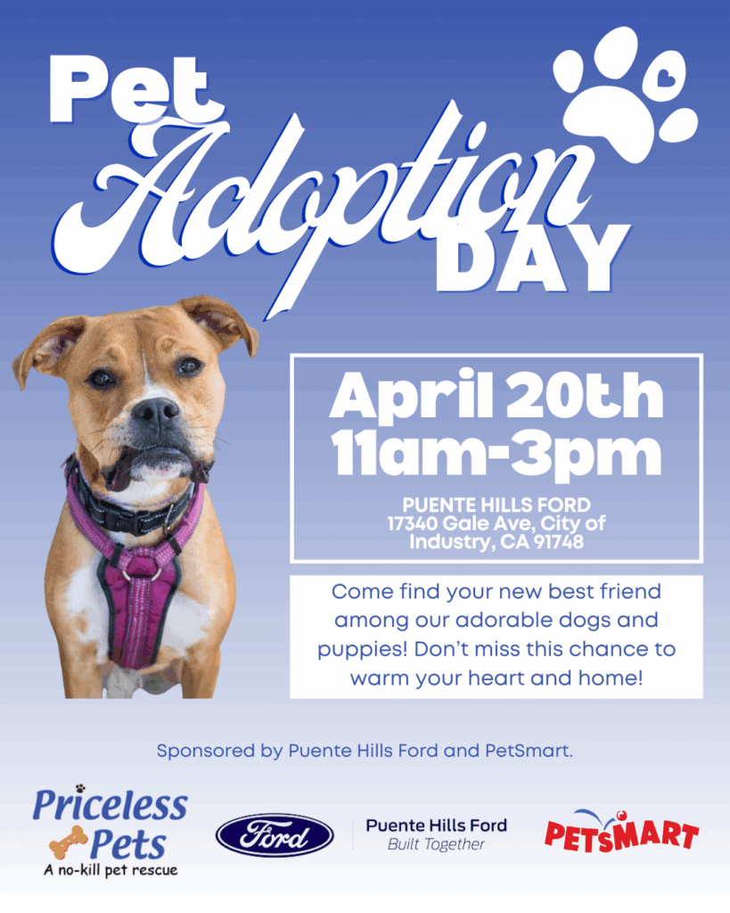 Pet Adoption Day Priceless Pet Rescue