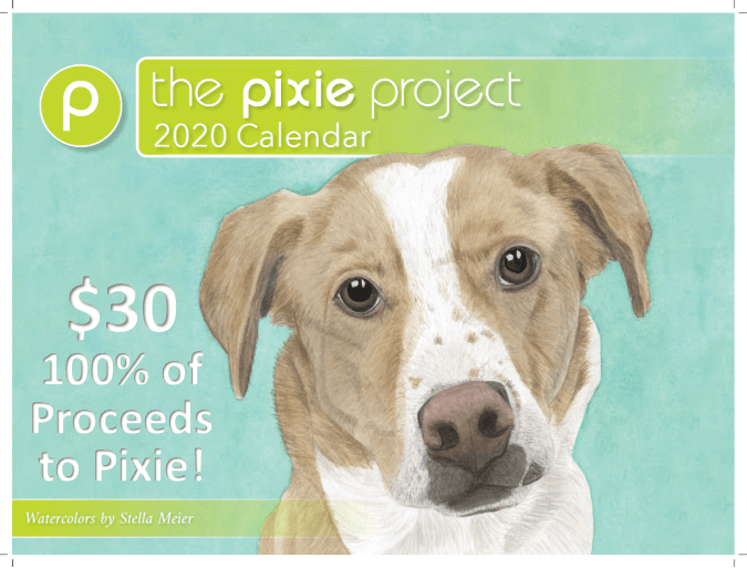 Pet Adoption Events Portland Oregon The Pixie Project What Makes The 