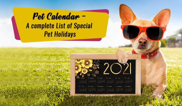 Pet Calendar 2021 A Complete List Of Special Pet Holidays