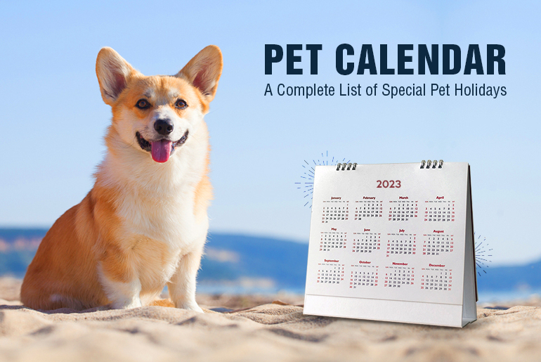 Pet Calendar 2023 A Complete List Of Special Pet Holidays