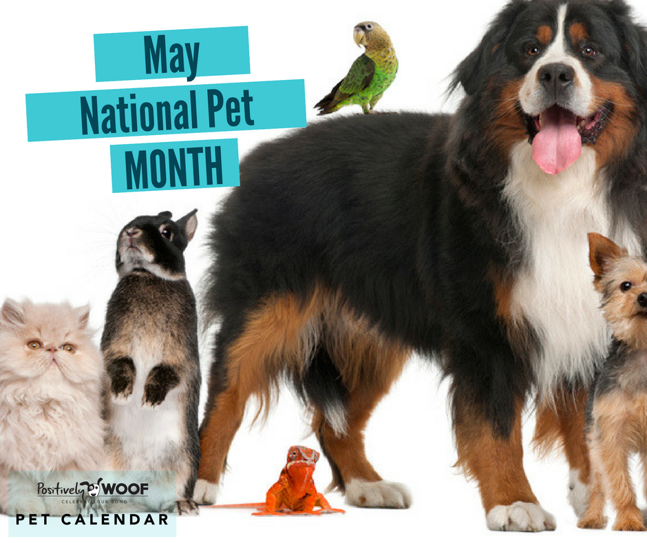 Pet Calendar National Pet Month Positively Woof