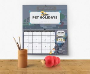 Pet Holidays Pet Resort Marketing