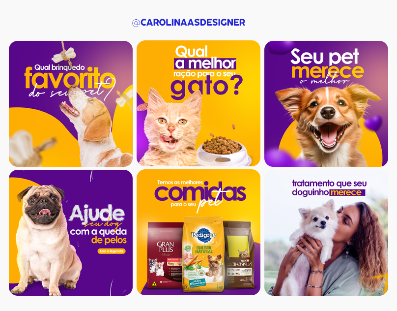 Pet Shop Social Media On Behance