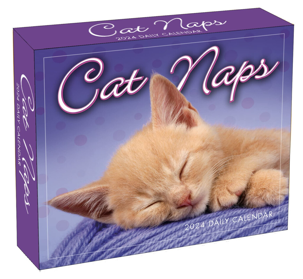 Pet Simulator Advent Calendar 2025 Price Kipp Seline