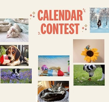 Pet Valu Calendar Contest 2024 Winners Elyse Imogene
