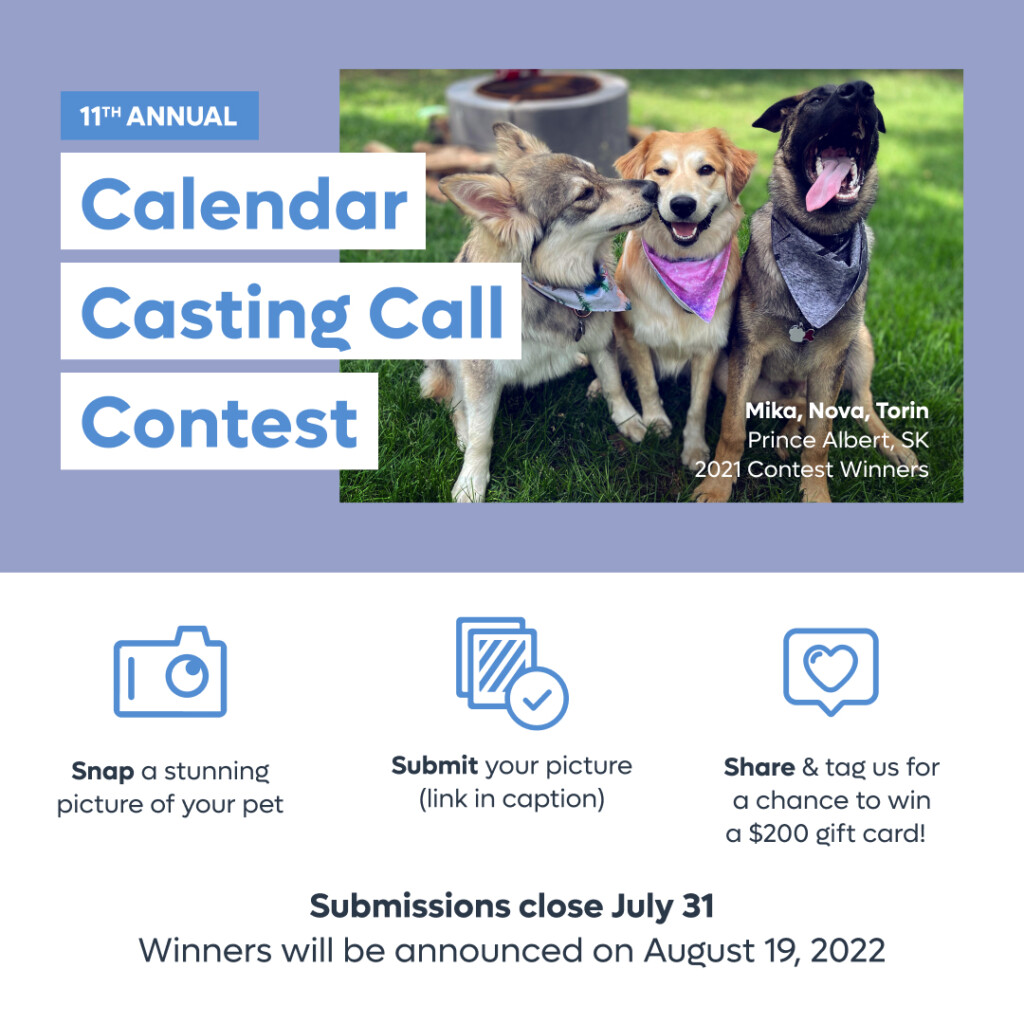 Pet Valu Calendar Contest 2025 Winners Danice Nicola