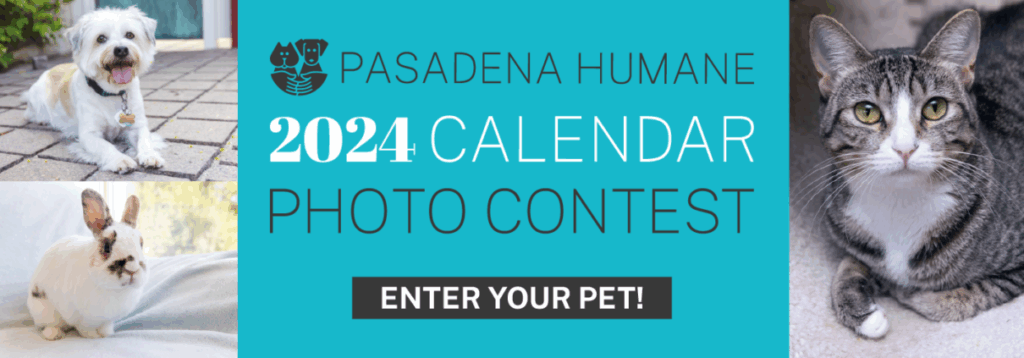 Pet Valu Calendar Contest 2025 Winners Danice Nicola