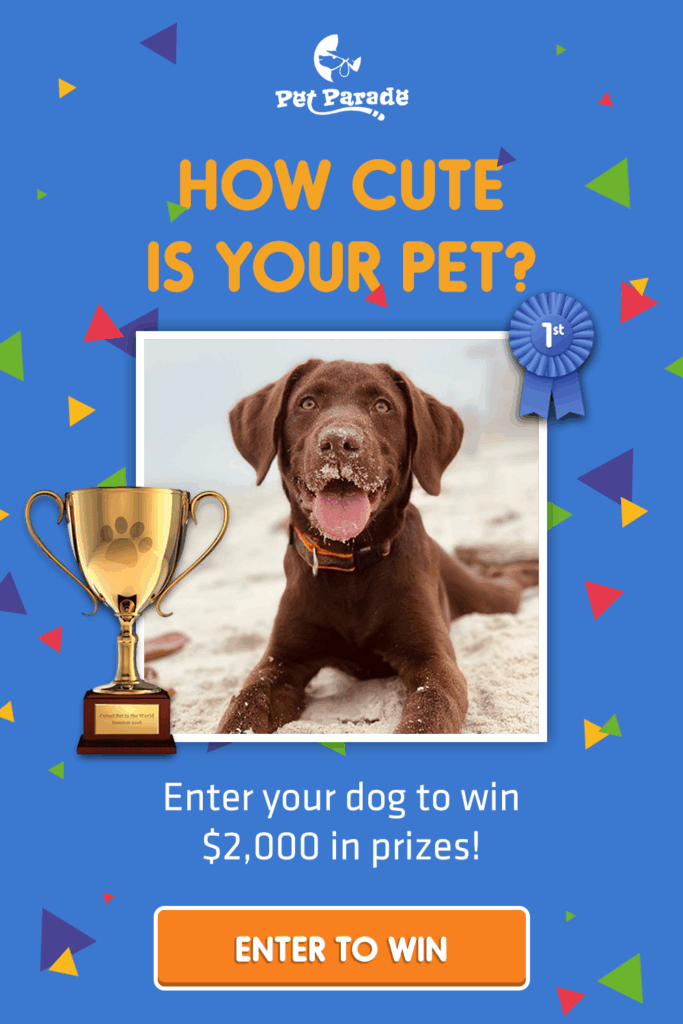 Pet Valu Photo Contest 2024 Calendar Janot Loralee