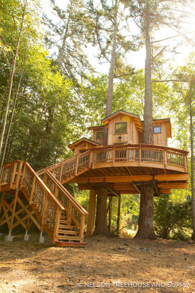Pete Nelson Treehouse Artofit
