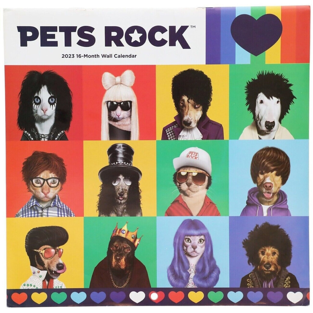Pets Rock Calendar 2025 Ailis Halimeda