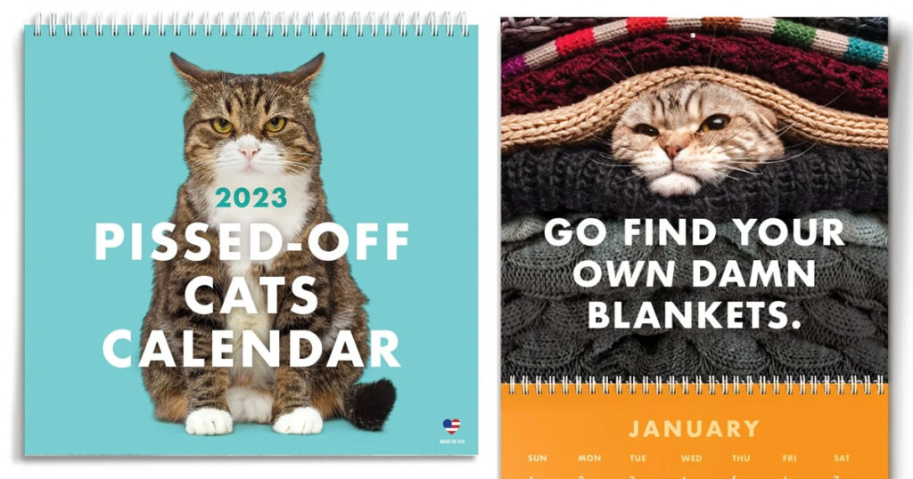 Pissed Off Cat Calendar Zoe Lindie